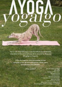 Clase Benéfica YO GALGO @ ayoga | Madrid | Comunidad de Madrid | España