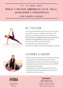 PSOAS Y NÚCLEO ABDOMINAL EN EL YOGA: ALINEACIÓN Y CONSCIENCIA CON SANDRA CARSON @ Ayoga | Madrid | Comunidad de Madrid | España